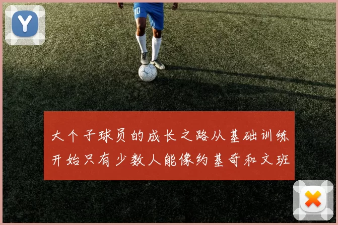 大个子球员的成长之路从基础训练开始只有少数人能像约基奇和文班那样成功